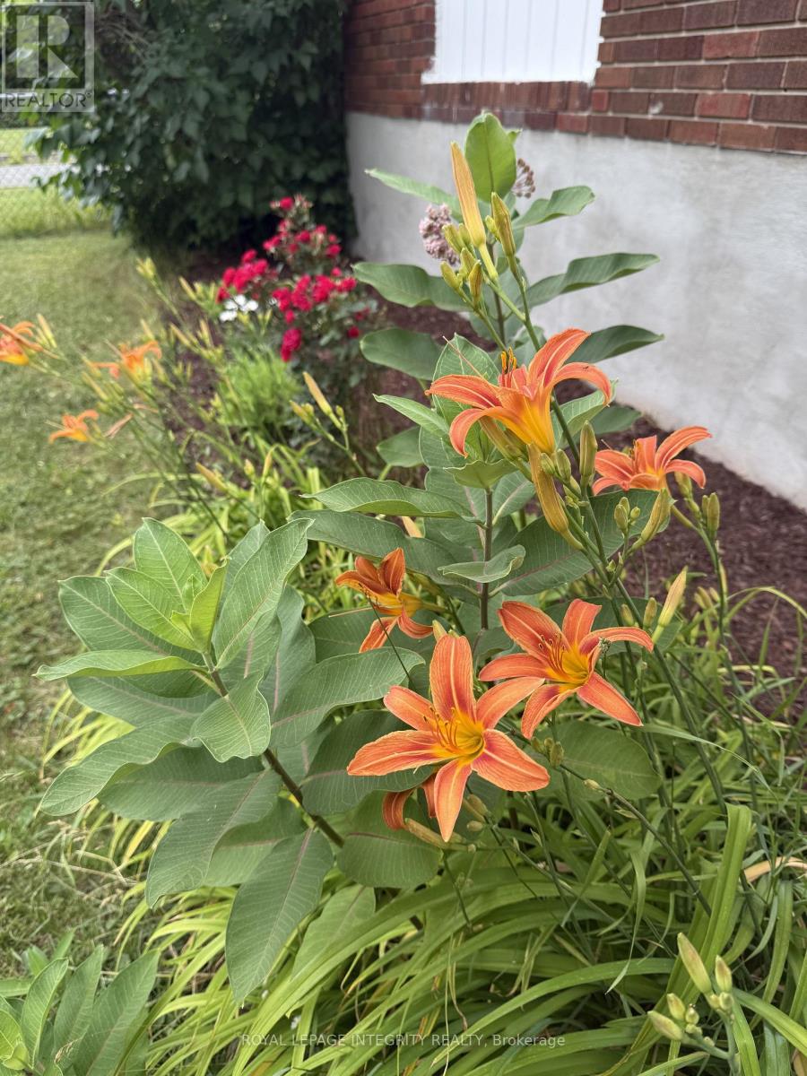 3264 Johnston Avenue, Cornwall, Ontario  K6K 1H3 - Photo 32 - X12752736