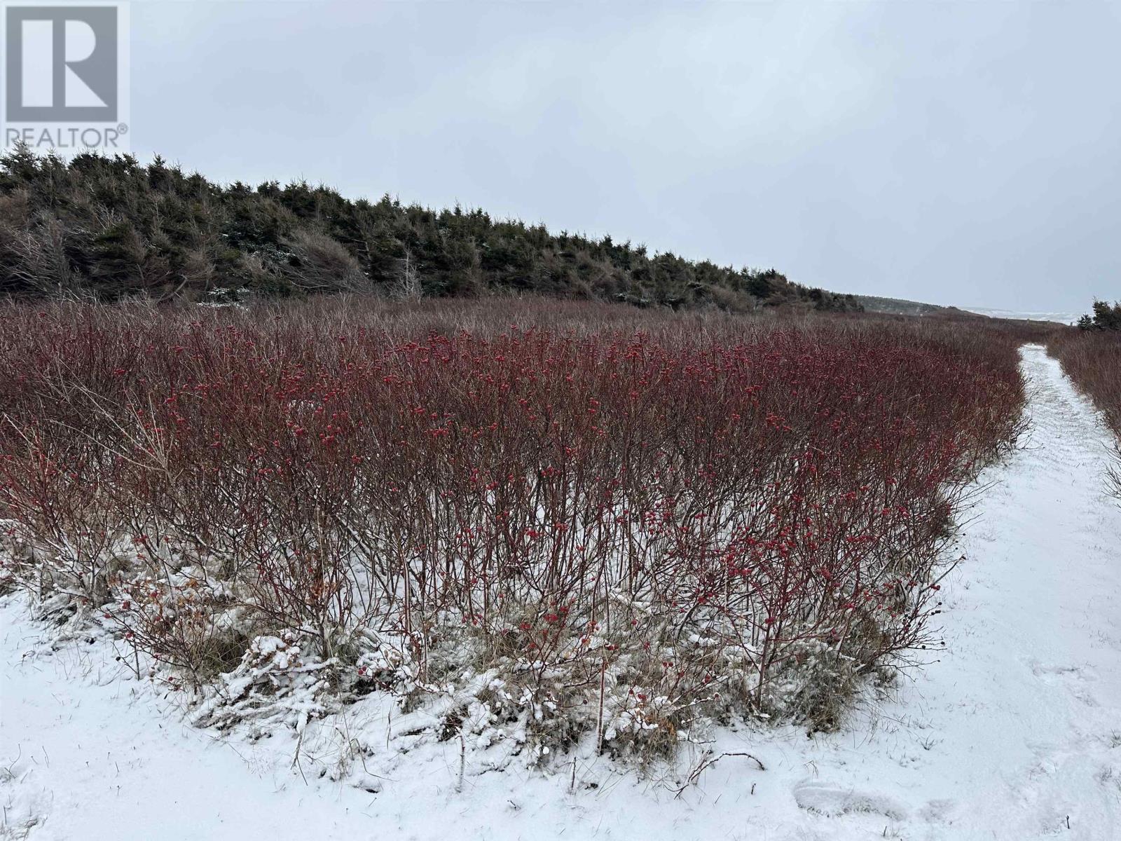 Lot 2 Shipreck Lane, Naufrage, Prince Edward Island  C0A 2B0 - Photo 4 - 202601999