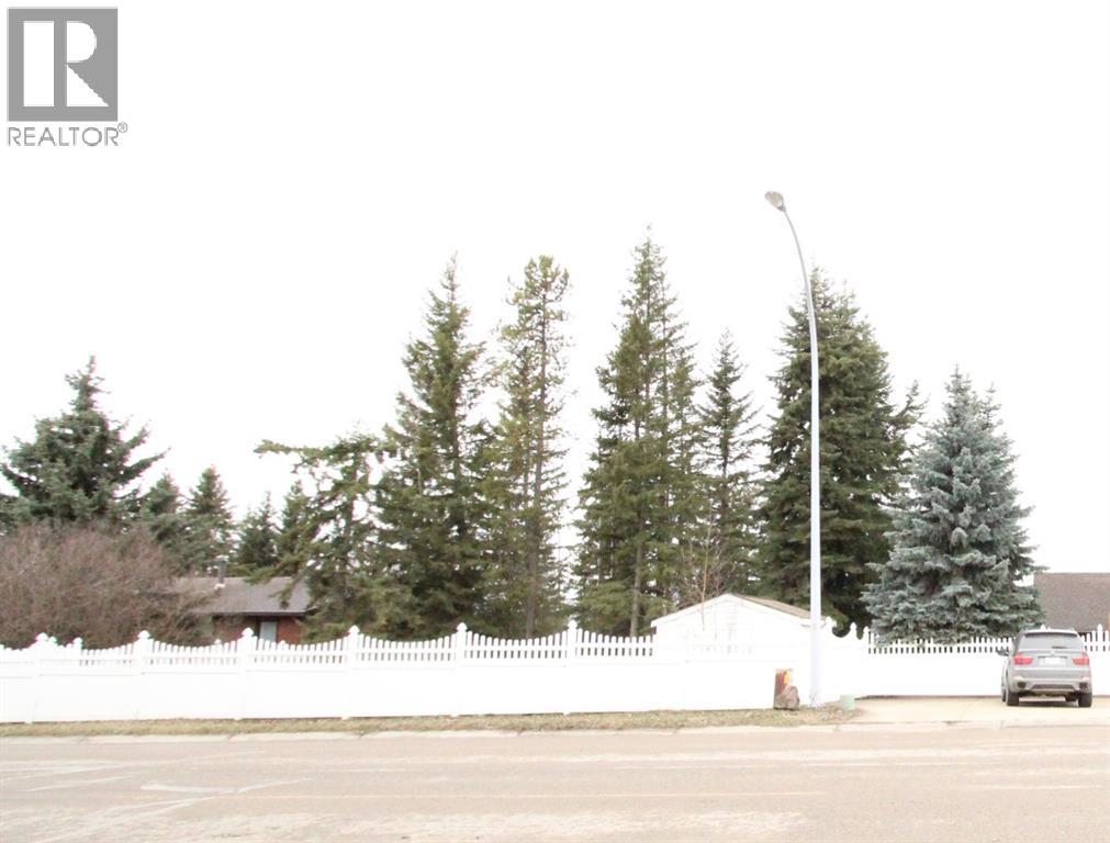 5408 60 Street, Rocky Mountain House, Alberta  T4T 1K8 - Photo 4 - A2281074