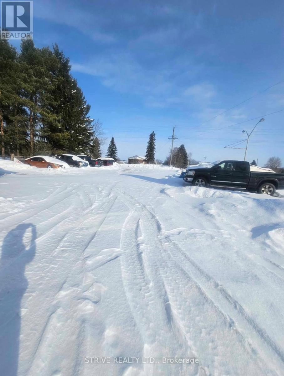 605 On-7 Street, Kawartha Lakes, Ontario  K0M 2M0 - Photo 2 - X12753108