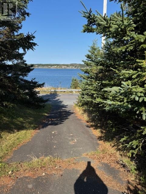 192 Main Road, St. Josephs, Newfoundland & Labrador  A0B 3A0 - Photo 21 - 1294272