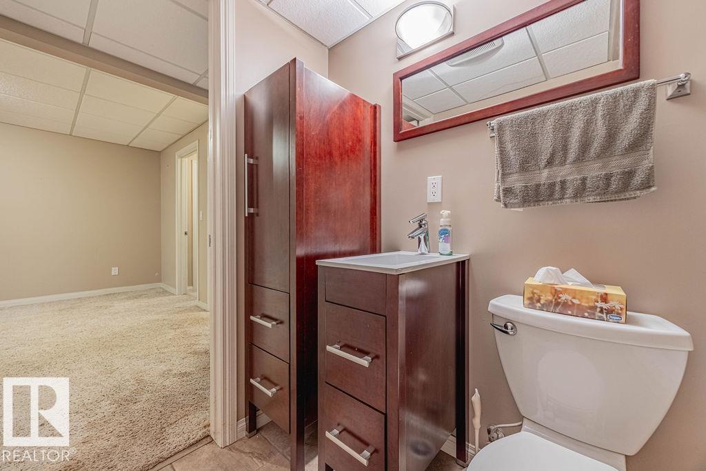 5026 53 Ave, Ryley, Alberta  T0B 4A0 - Photo 20 - E4453592