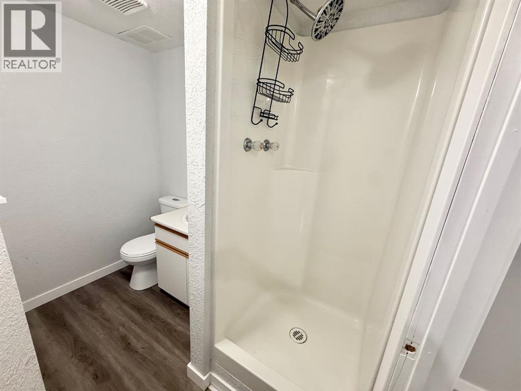 106 Reimer Drive, Hinton, Alberta  T7V 1K1 - Photo 25 - A2279777