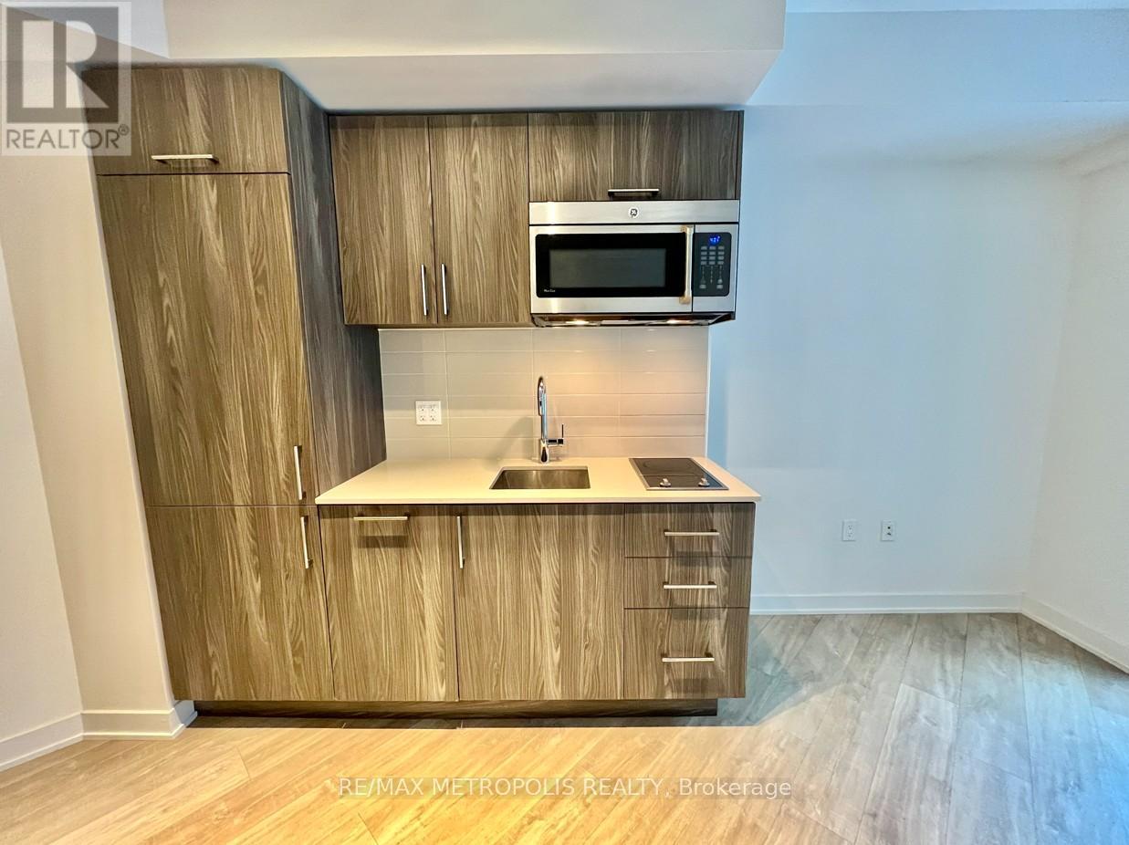 501w - 27 Bathurst Street, Toronto, Ontario  M5V 0R1 - Photo 3 - C12753308