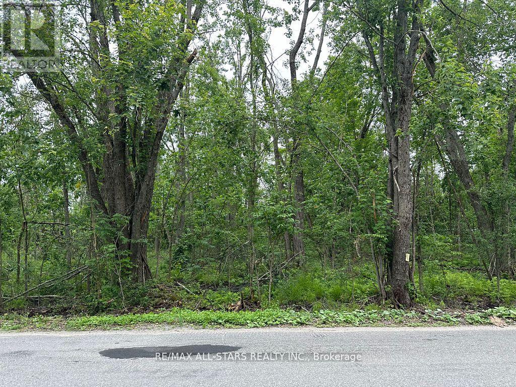 20 Lot Tate's Bay Road, Trent Lakes, Ontario  K0M 1A0 - Photo 4 - X12753602