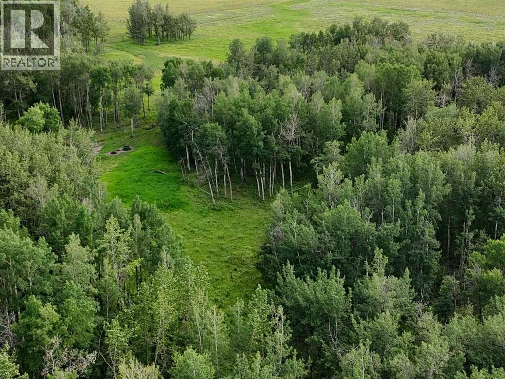 Nw 19-48- 2-W5, Warburg, Alberta  T0C 2T0 - Photo 13 - A2270049