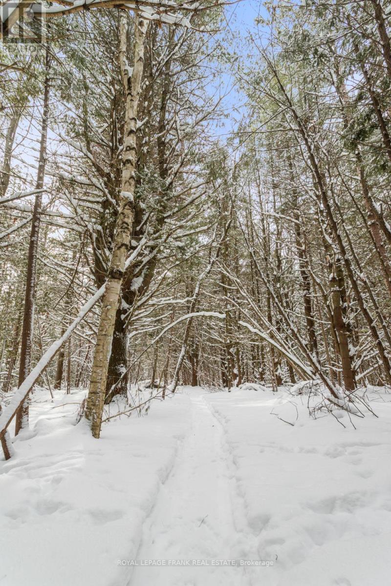 5 Regent Street, Georgina (Pefferlaw), Ontario  L0E 1N0 - Photo 28 - N12753168