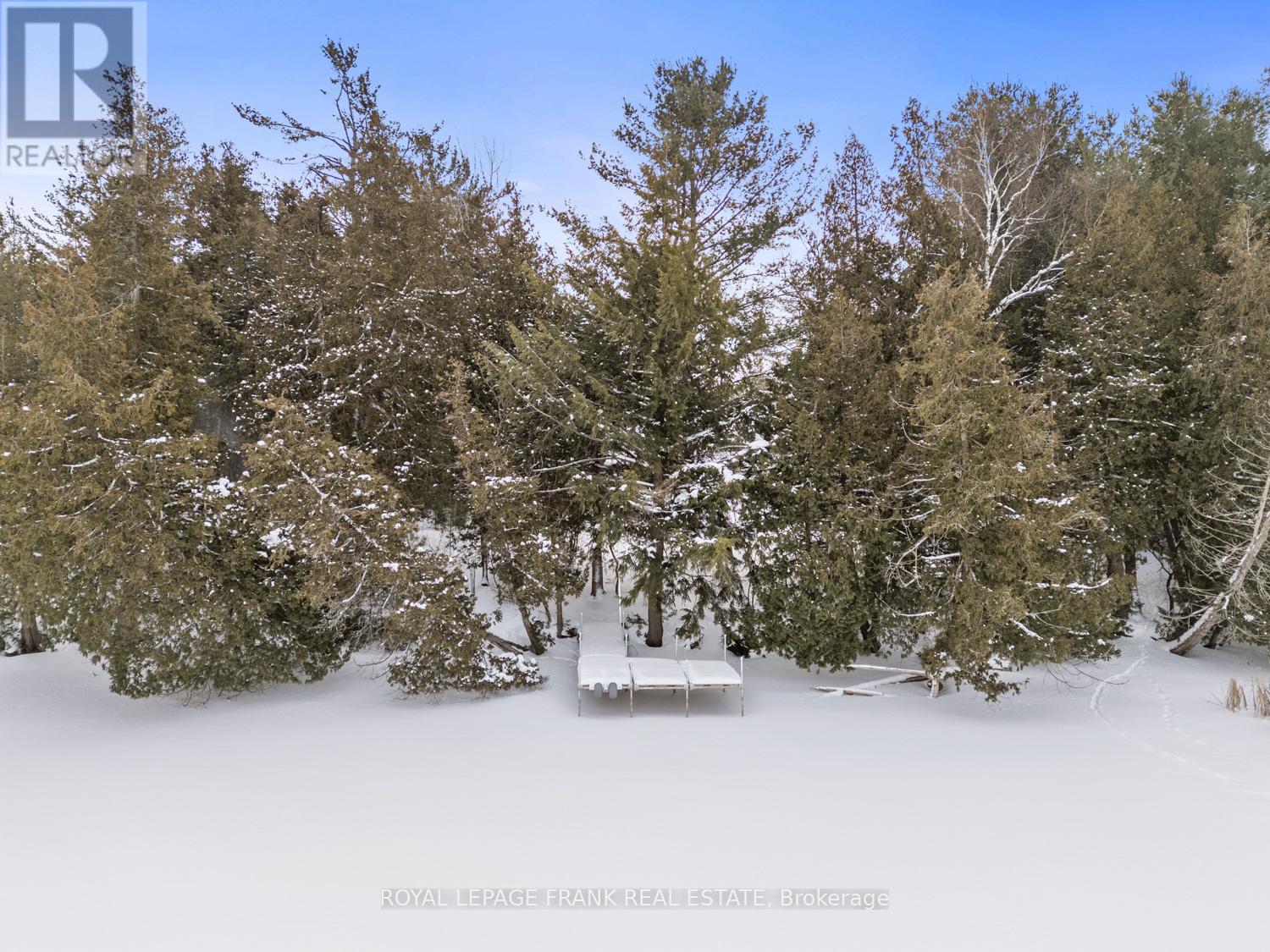 5 Regent Street, Georgina (Pefferlaw), Ontario  L0E 1N0 - Photo 4 - N12753168