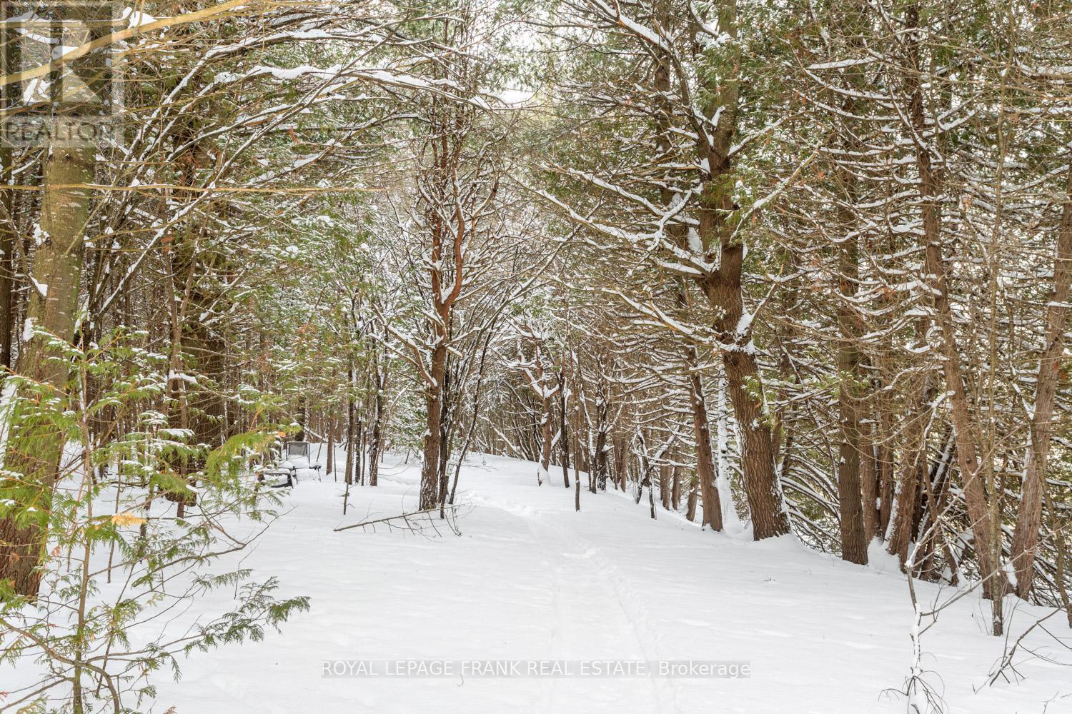 5 Regent Street, Georgina (Pefferlaw), Ontario  L0E 1N0 - Photo 6 - N12753168