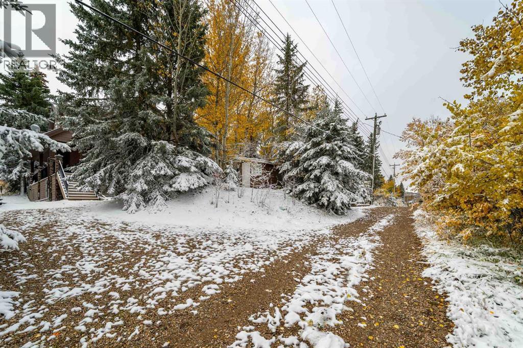 210 6 Avenue, Rural Cypress County, Alberta  T0J 1C0 - Photo 39 - A2263240