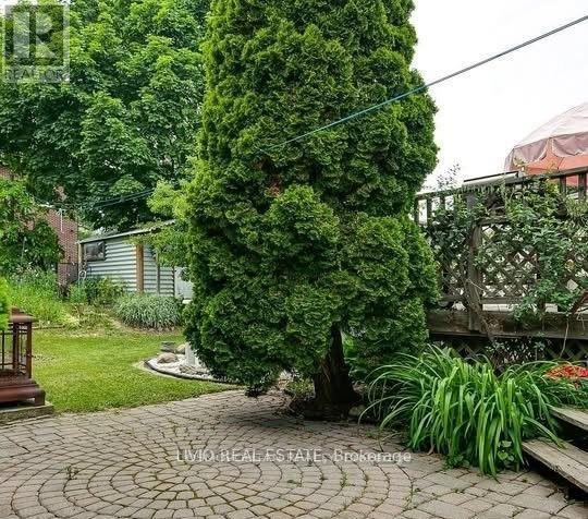 (Main) - 22 Northampton Drive, Toronto, Ontario  M9B 4S6 - Photo 15 - W12753524