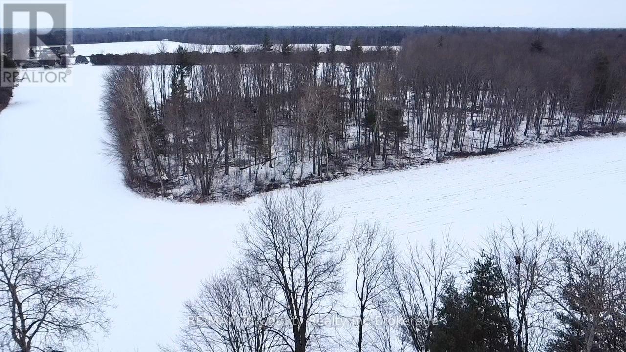 1225 1st Concession Enr Road, Norfolk, Ontario  N0E 1G0 - Photo 18 - X12665982