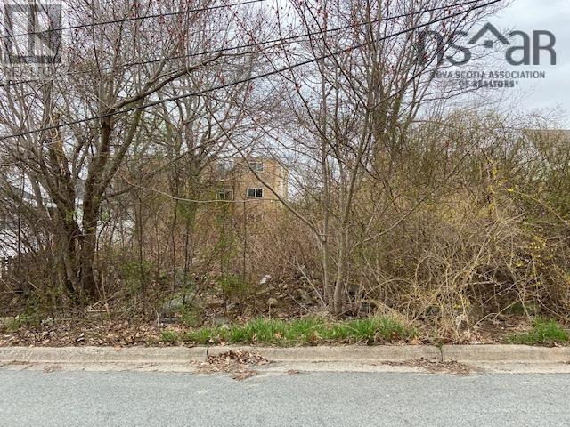 15 Springhill Drive, Dartmouth, Nova Scotia  B3A 4H4 - Photo 8 - 202602012