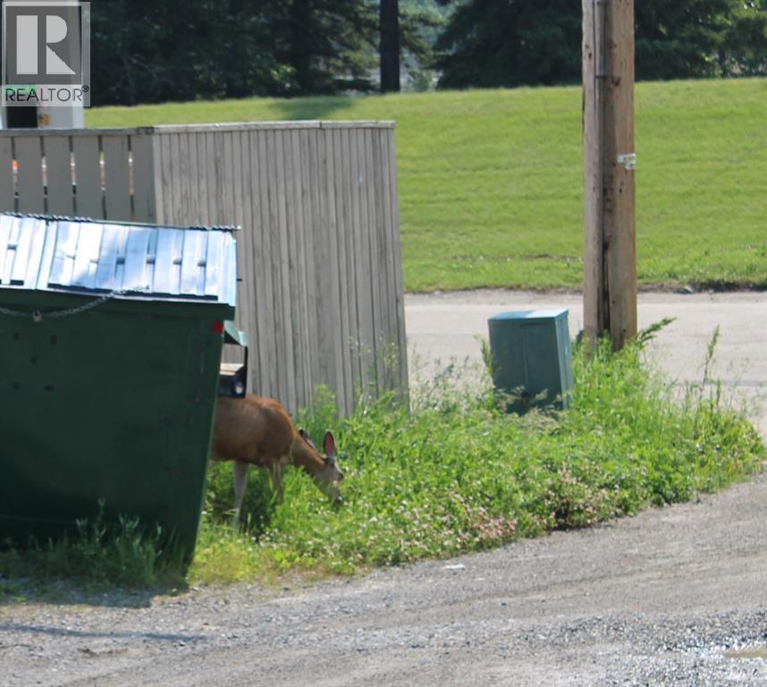 101 Main Avenue E, Sundre, Alberta  T0M 1X0 - Photo 7 - A2272384