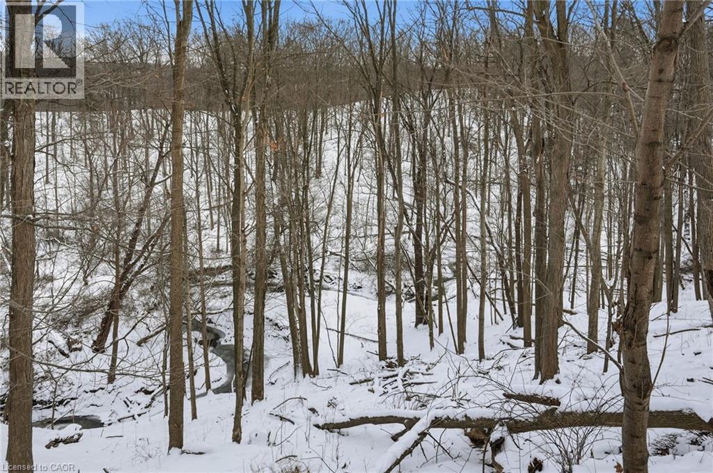 97 Robinhood Drive, Dundas, Ontario  L9H 4G2 - Photo 36 - 40802469