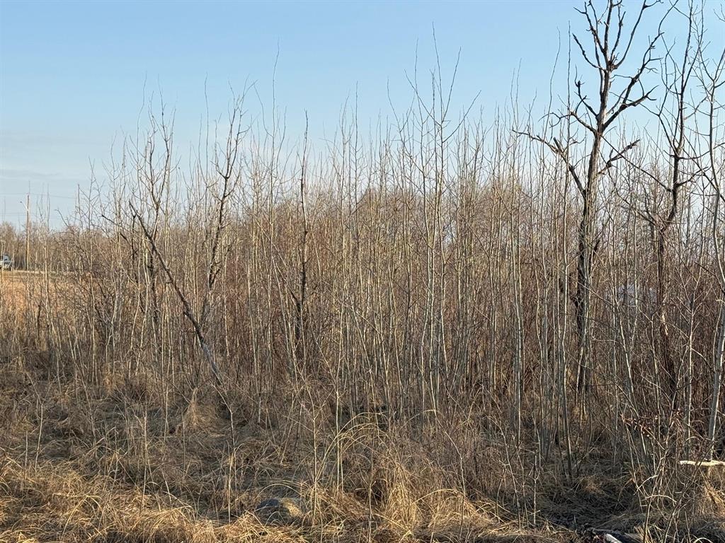 0 Bluegrass Way, St Malo, Manitoba  R0A 1T0 - Photo 12 - 202601928