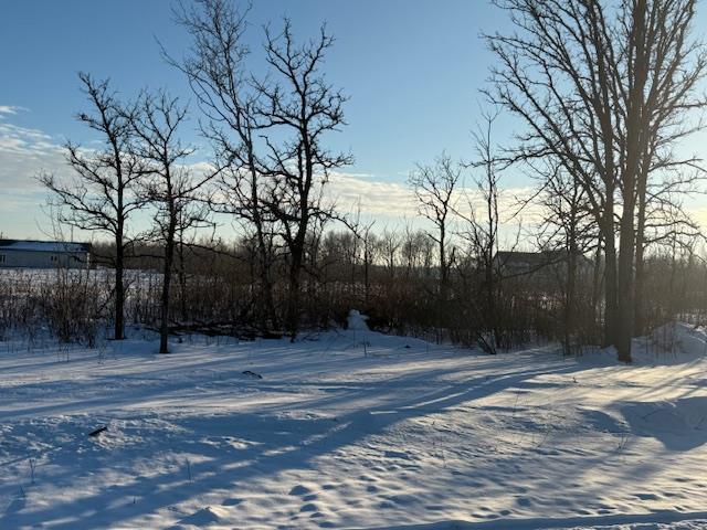 0 Bluegrass Way, St Malo, Manitoba  R0A 1T0 - Photo 5 - 202601928