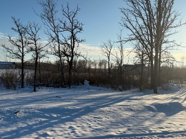 0 Bluegrass Way, St Malo, Manitoba  R0A 1T0 - Photo 6 - 202601928