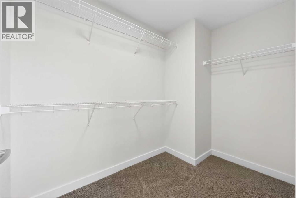 1144 Sailfin Heath, Rural Rocky View County, Alberta  T3Z 0J1 - Photo 24 - A2280303