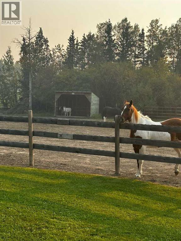 745059 Range Road 50, Rural Grande Prairie No. 1, Alberta  T0H 3C0 - Photo 39 - A2280484