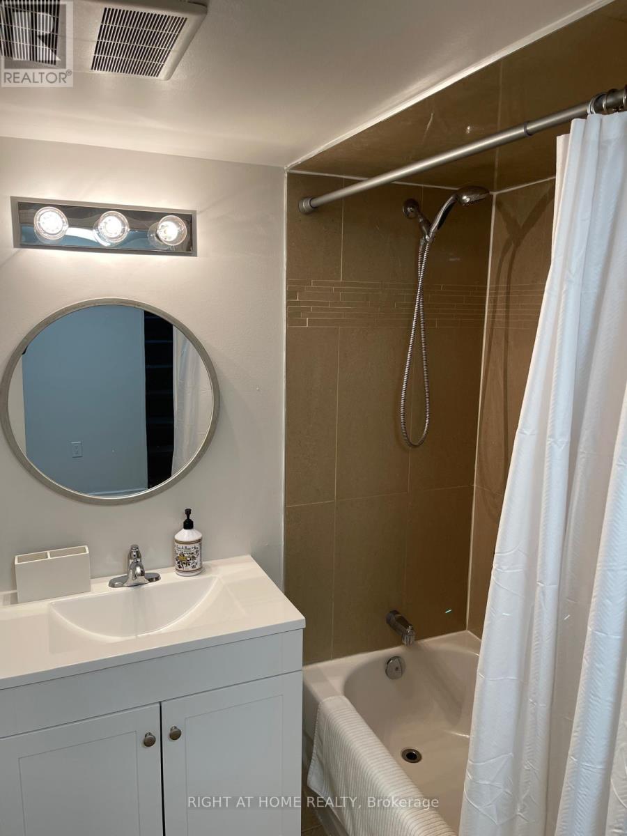 Lower - 78 Longford Drive, Newmarket, Ontario  L3Y 2Y4 - Photo 7 - N12754038