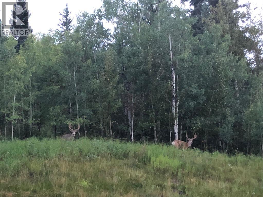 105 Riviera Crescent, Cochrane, Alberta  T4C 0V4 - Photo 36 - A2283068