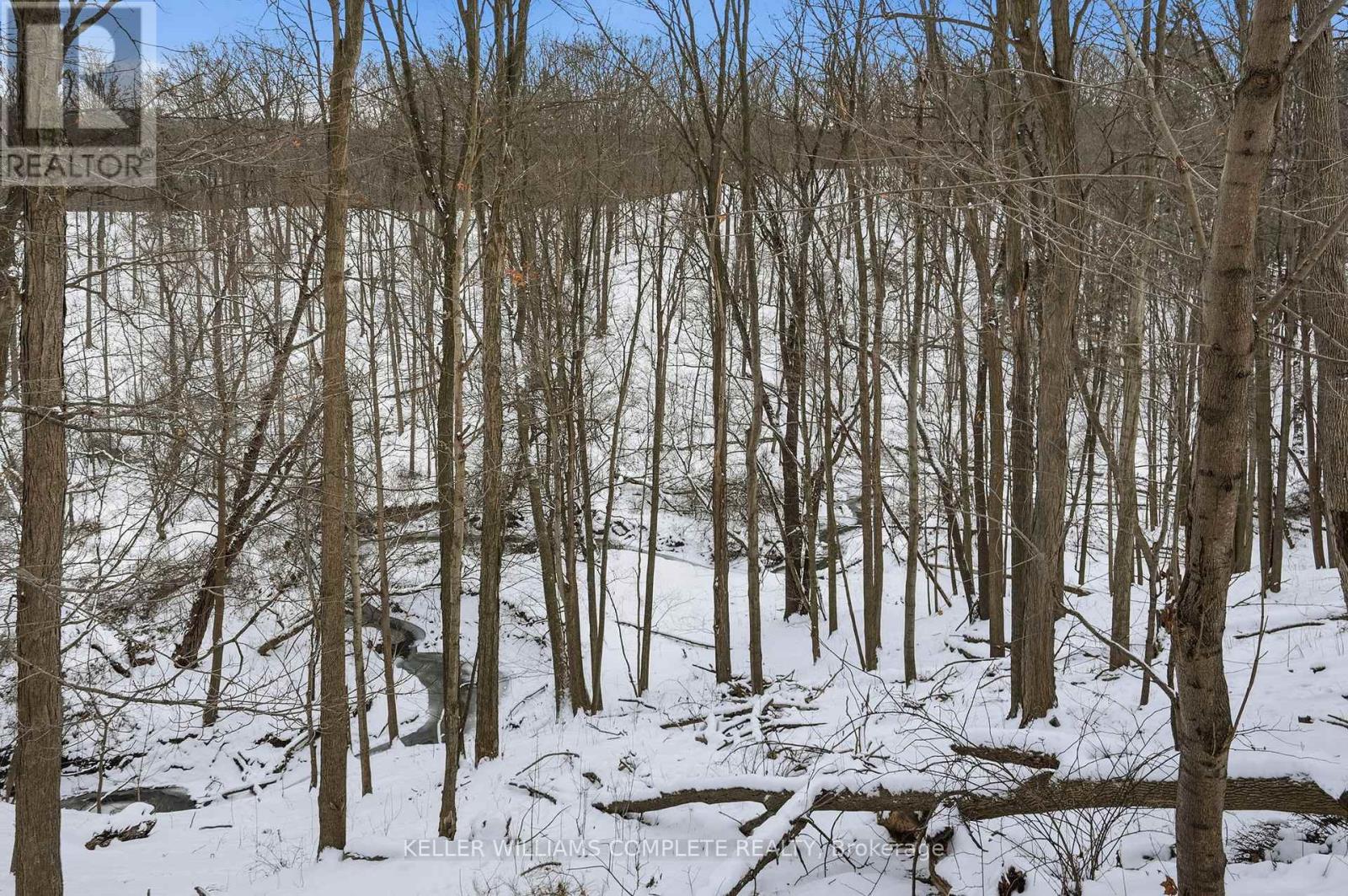 97 Robinhood Drive, Hamilton, Ontario  L9H 4G2 - Photo 36 - X12753986