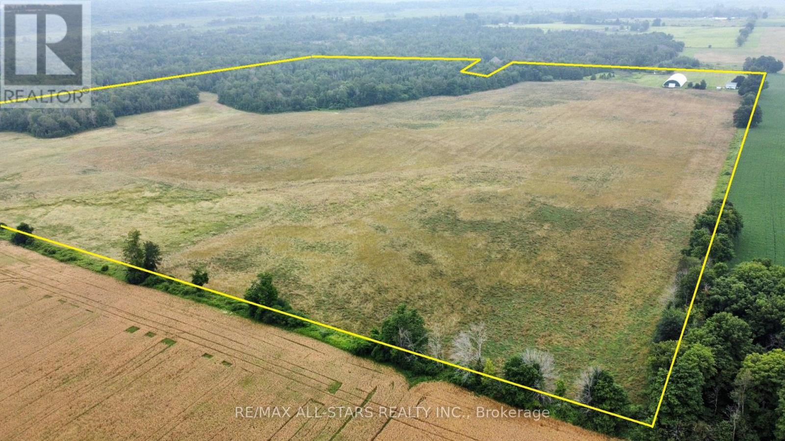 1715 Cragg Road, Scugog, Ontario  L0C 1B0 - Photo 5 - E12754212