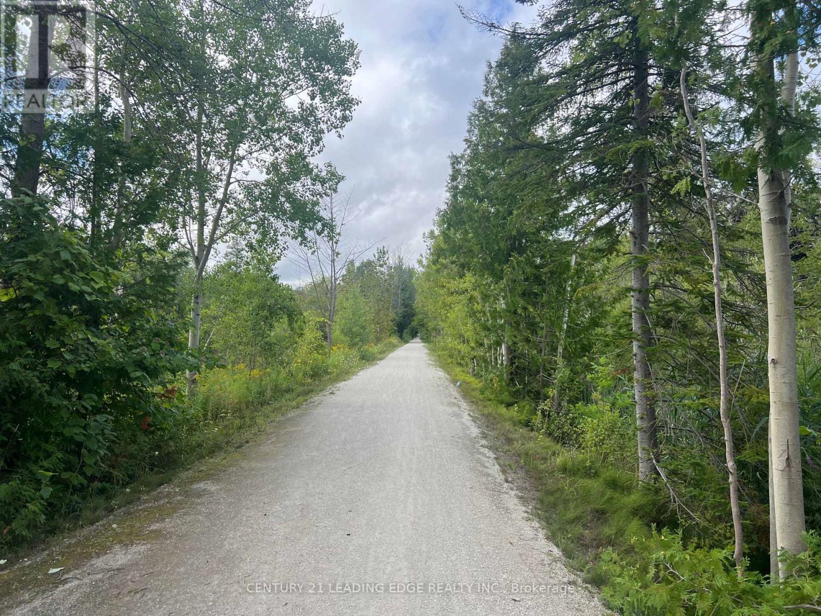 108 Goldie Court, Blue Mountains, Ontario  N0H 1J0 - Photo 48 - X12754196