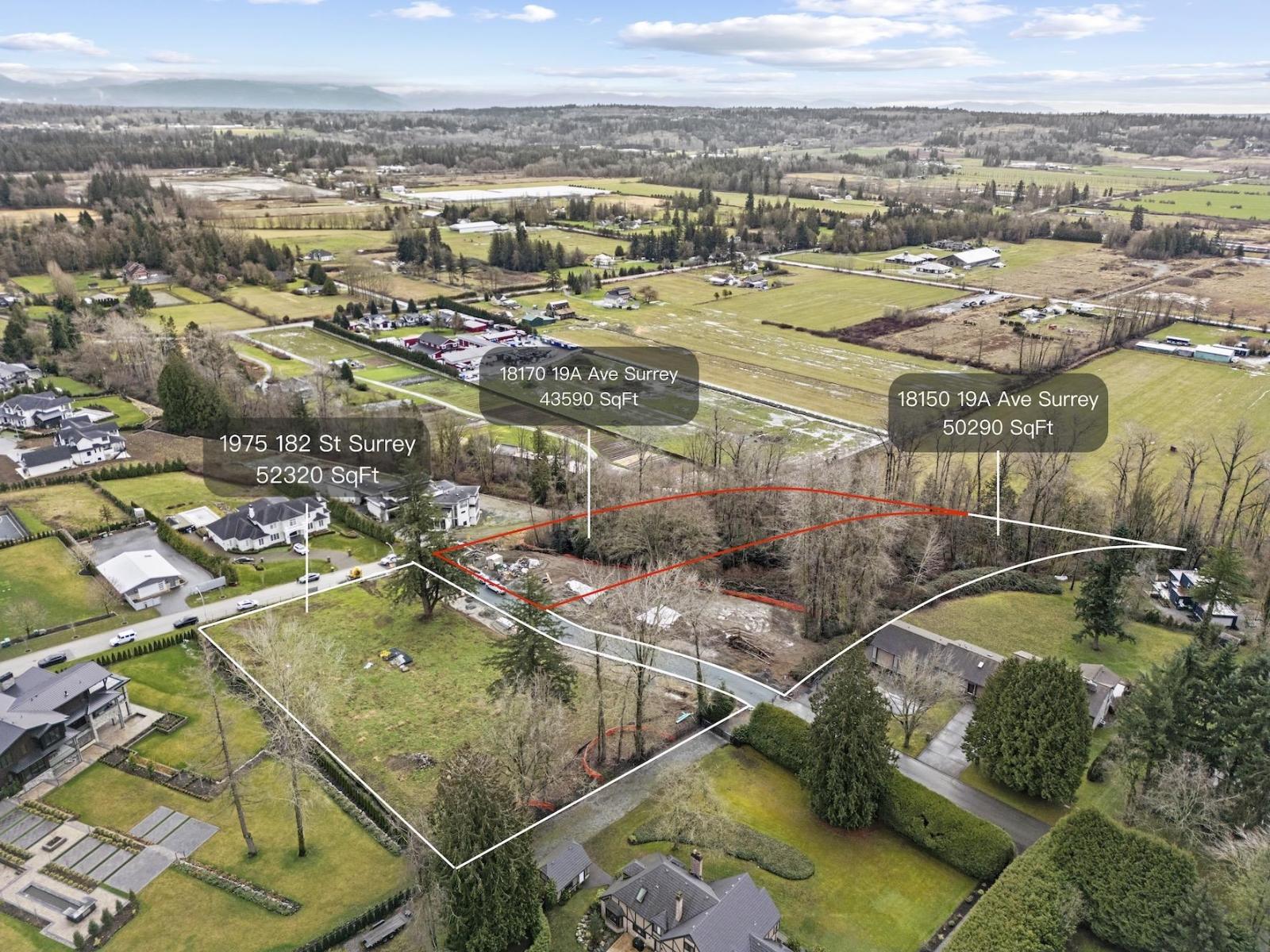 18170 19a Avenue, Surrey, British Columbia  V3Z 9V9 - Photo 5 - R3083930