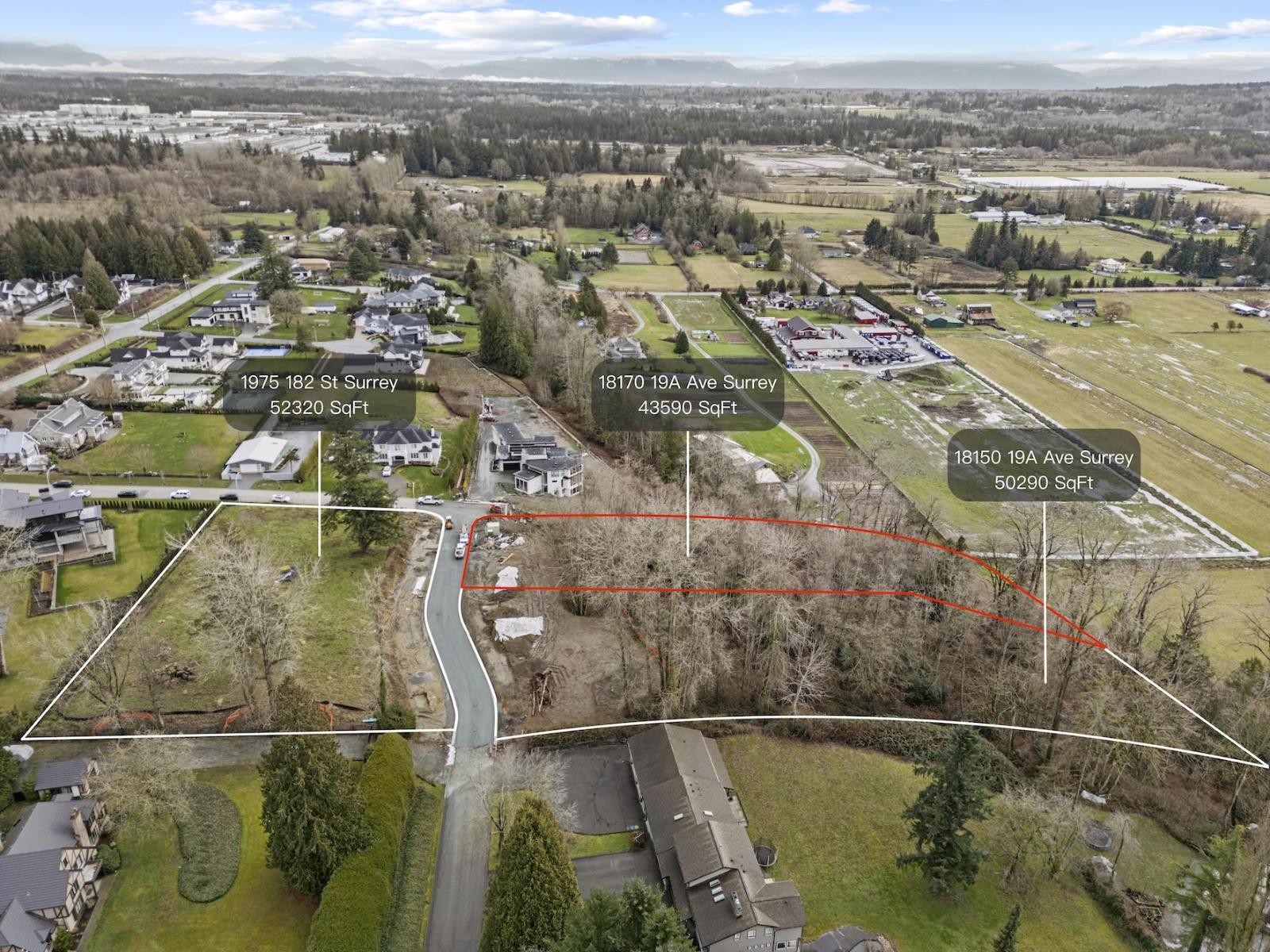 18170 19a Avenue, Surrey, British Columbia  V3Z 9V9 - Photo 4 - R3083930