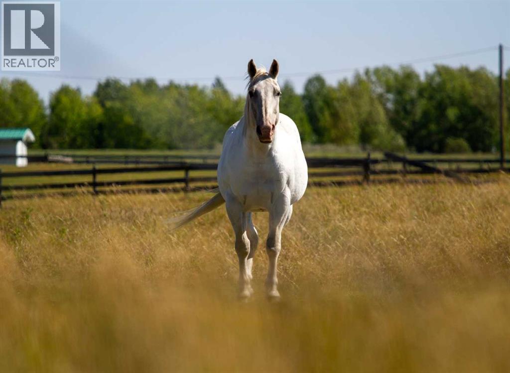 Lot #2, Phase 4 Green Haven Drive, Rural Foothills County, Alberta  T1S 0L9 - Photo 11 - A2251217