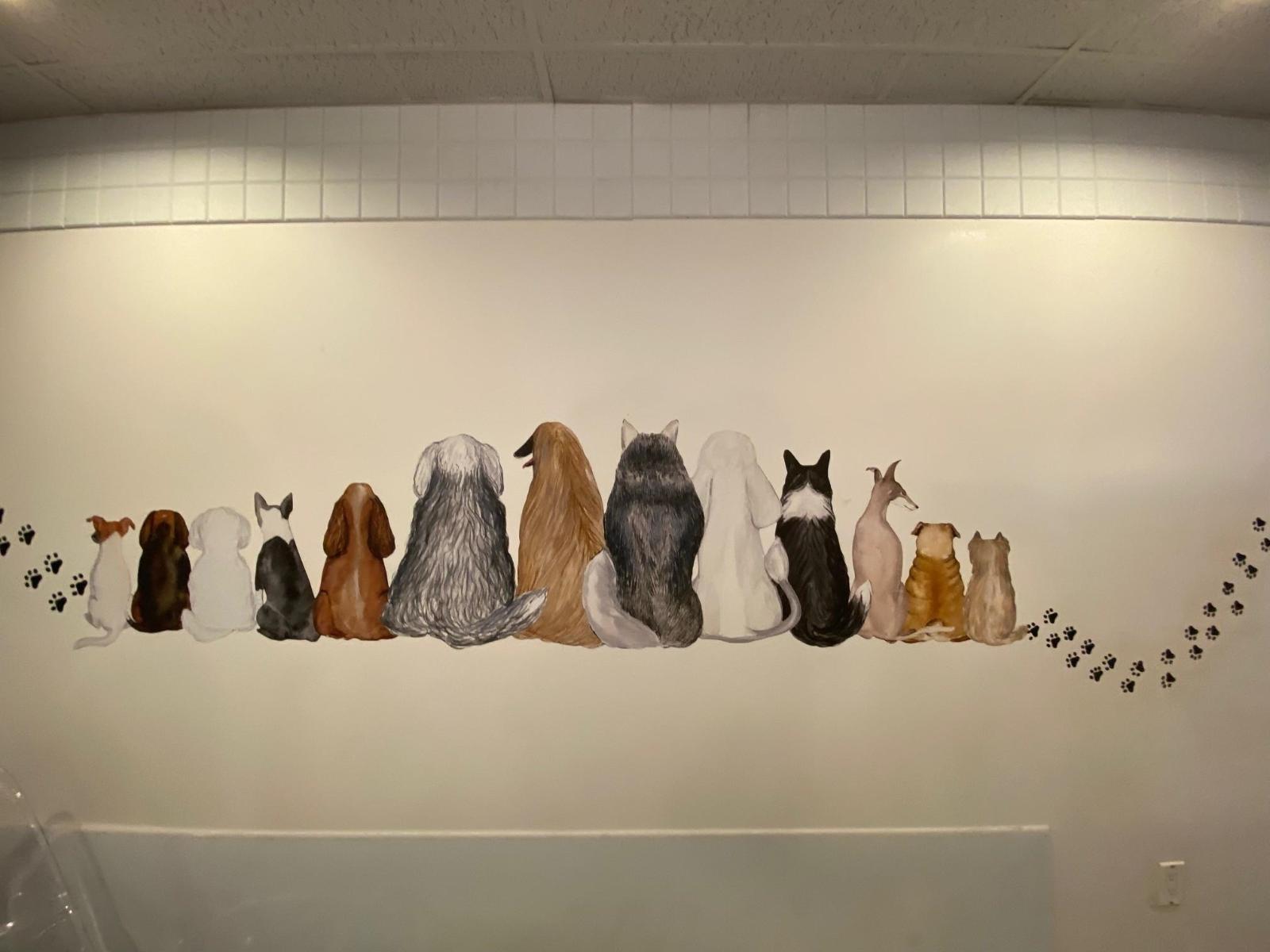 1740b 152 Street, Surrey, British Columbia  V4A 4N4 - Photo 17 - C8075800