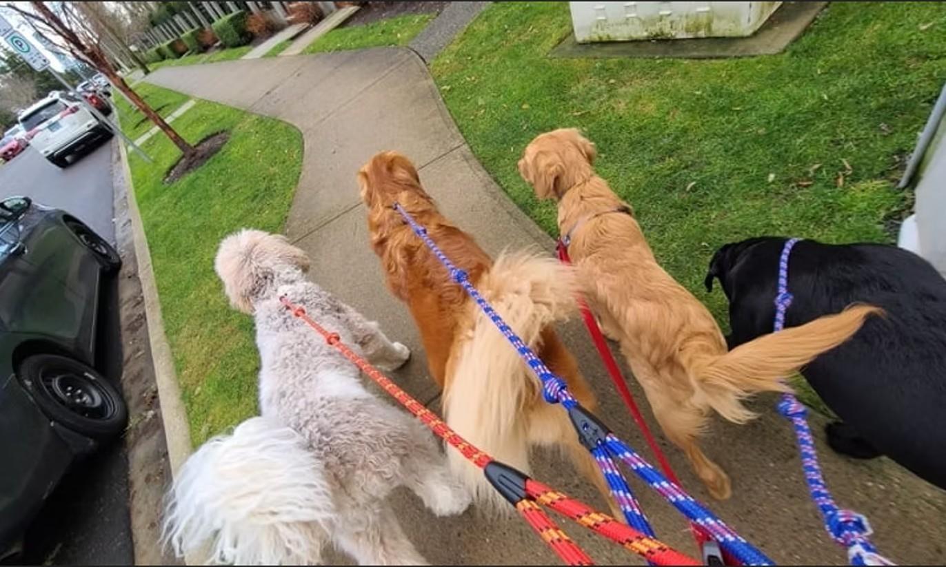 1740b 152 Street, Surrey, British Columbia  V4A 4N4 - Photo 16 - C8075800