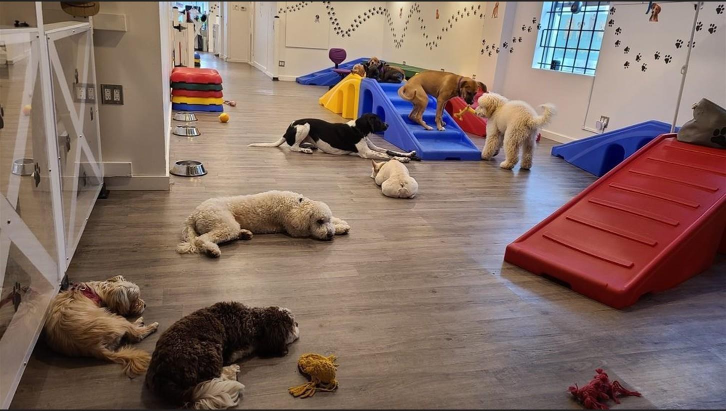 1740b 152 Street, Surrey, British Columbia  V4A 4N4 - Photo 12 - C8075800