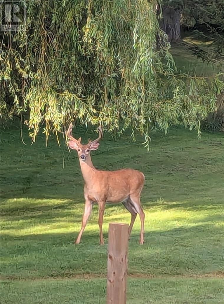 19 Gore Street, Gore Bay, Ontario  P0P 1H0 - Photo 43 - 2126275