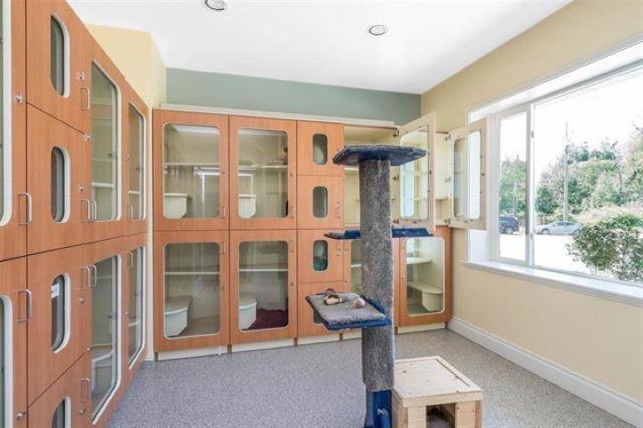 4102 Lefeuvre Road, Abbotsford, British Columbia  V4X 1N8 - Photo 13 - R3085296