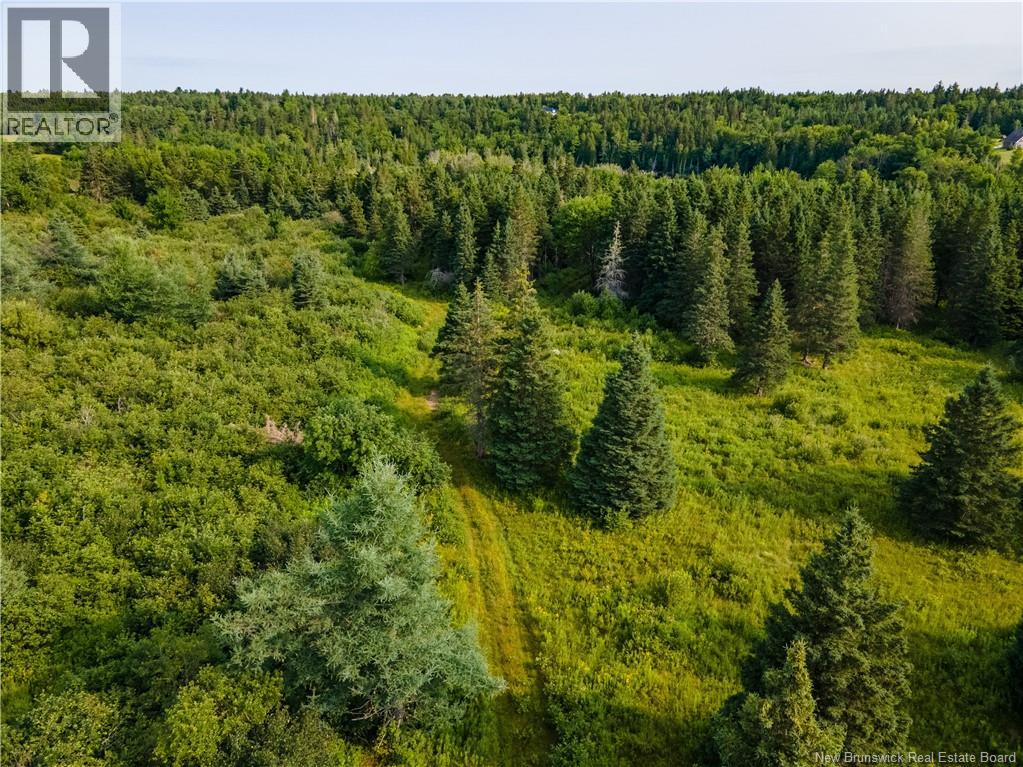 Vacant Lot Saint-Ignace, Saint-Louis-De-Kent, New Brunswick  E4X 1Z2 - Photo 3 - NB133109