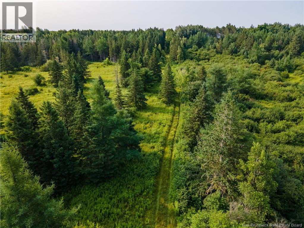 Vacant Lot Saint-Ignace, Saint-Louis-De-Kent, New Brunswick  E4X 1Z2 - Photo 4 - NB133109