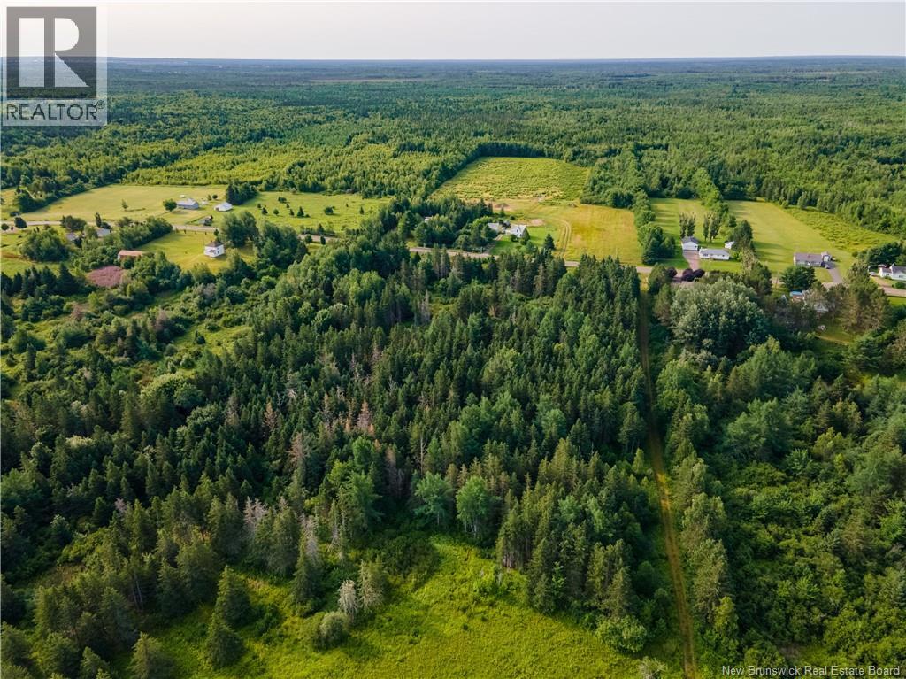 Vacant Lot Saint-Ignace, Saint-Louis-De-Kent, New Brunswick  E4X 1Z2 - Photo 8 - NB133109
