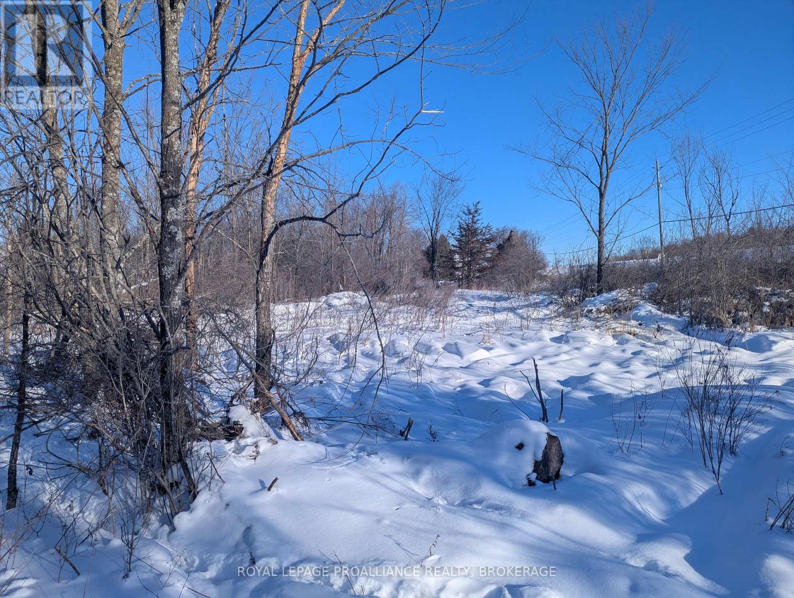 Lot 34 Leo Lake Road, Kingston, Ontario  K0H 2N0 - Photo 25 - X12752286