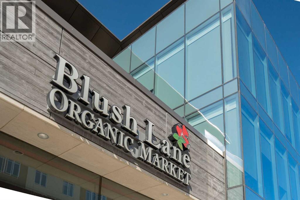 2213 31 Avenue Sw, Calgary, Alberta  t2t 1t7 - Photo 41 - A2283330