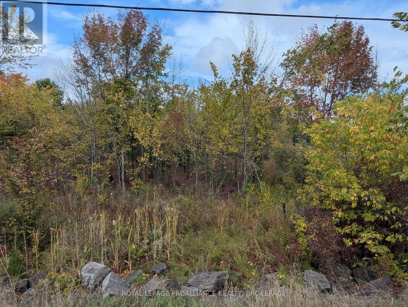 Lot 34 Leo Lake Road, Kingston, Ontario  K0H 2N0 - Photo 12 - X12752286