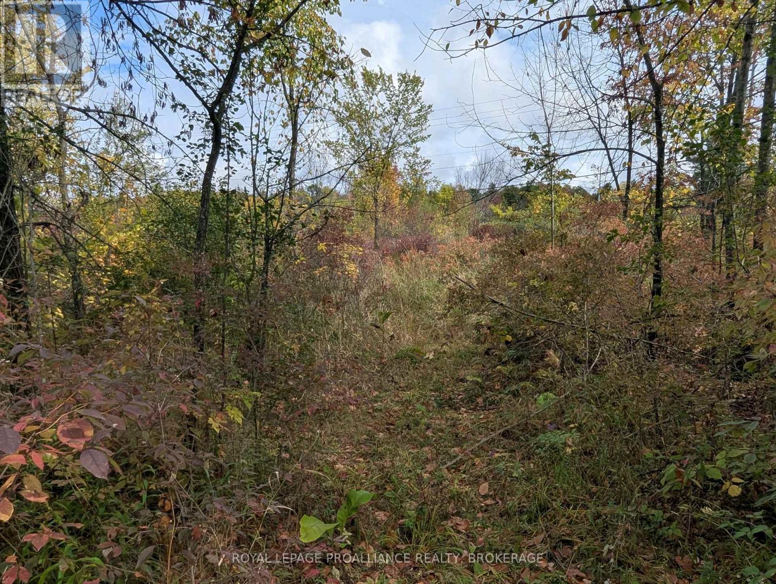 Lot 34 Leo Lake Road, Kingston, Ontario  K0H 2N0 - Photo 14 - X12752286