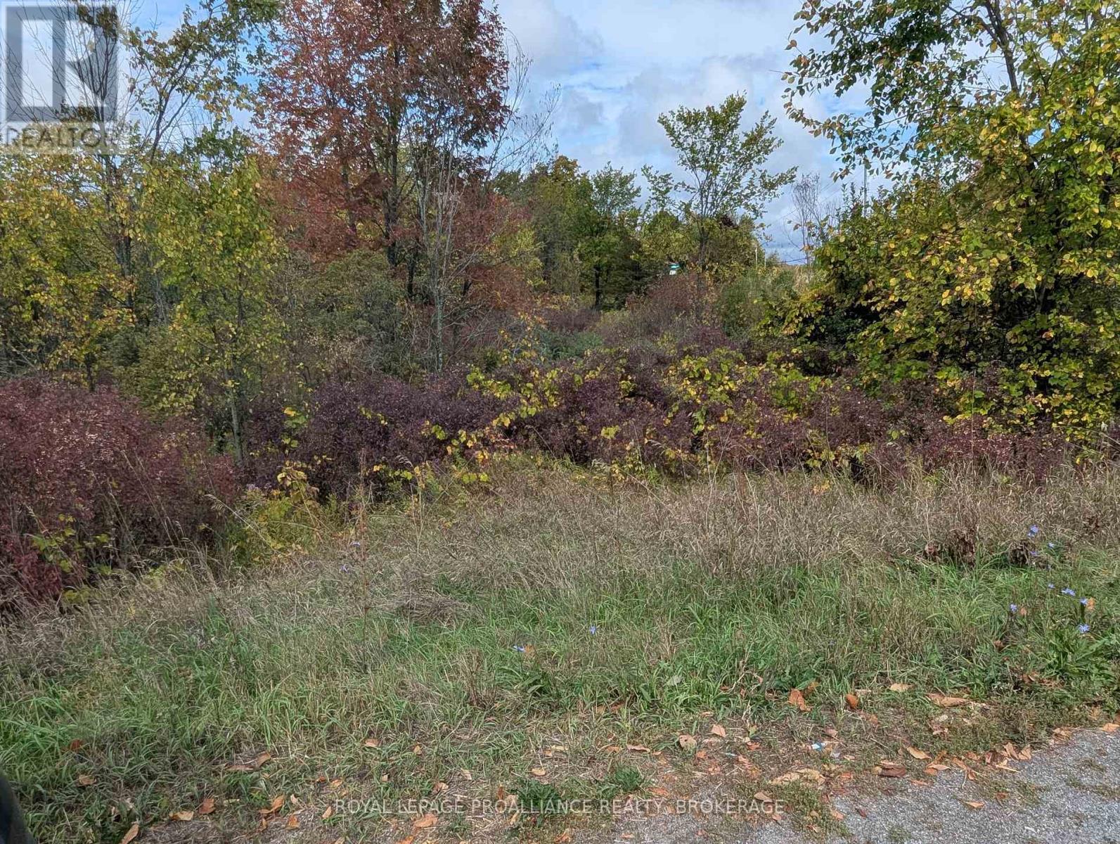 Lot 34 Leo Lake Road, Kingston, Ontario  K0H 2N0 - Photo 9 - X12752286