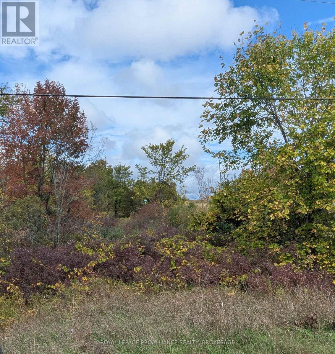 Lot 34 Leo Lake Road, Kingston, Ontario  K0H 2N0 - Photo 8 - X12752286