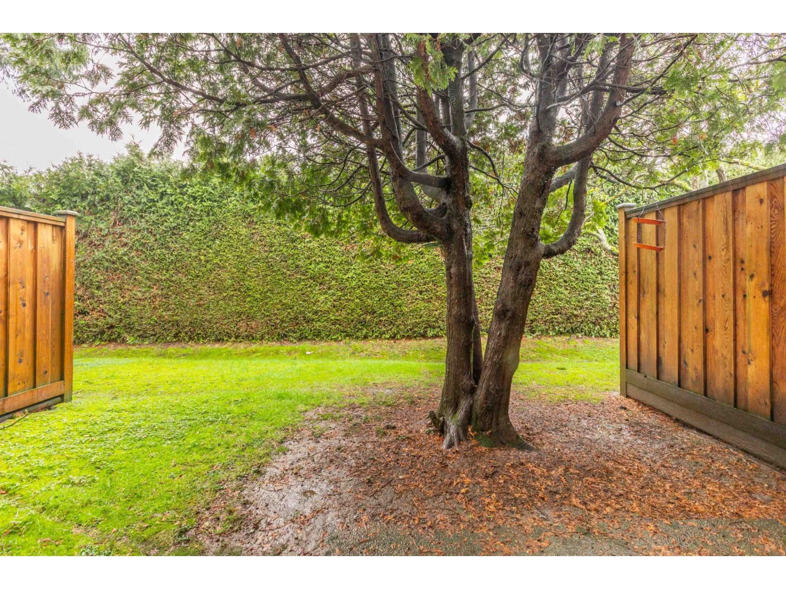 86 13880 74 Avenue, Surrey, British Columbia  V3W 7E6 - Photo 35 - R3085451