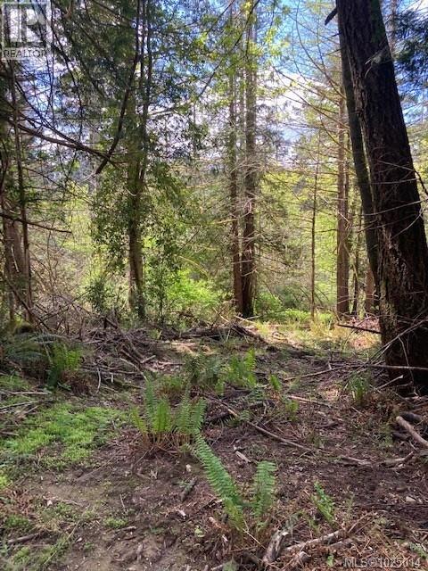 Lot 5 Robinson Rd, Salt Spring, British Columbia  V8K 1P7 - Photo 18 - 1025014