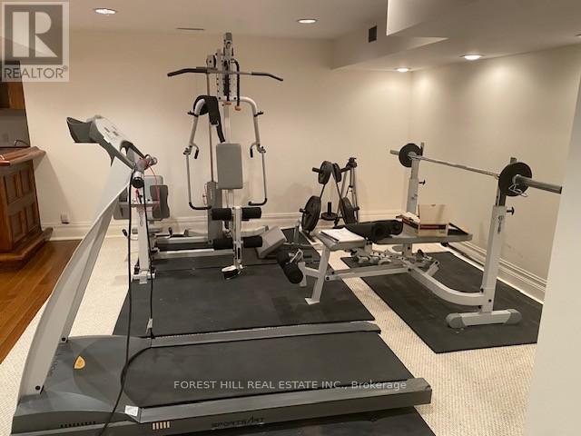 17 Dunloe Road, Richmond Hill, Ontario  L4B 2H6 - Photo 43 - N12754896