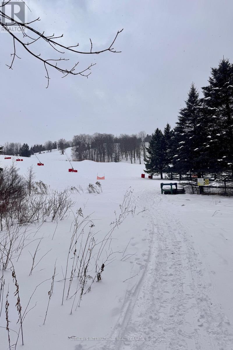 39 Pine River Crescent, Mulmur, Ontario  L0N 1M0 - Photo 5 - X12754926